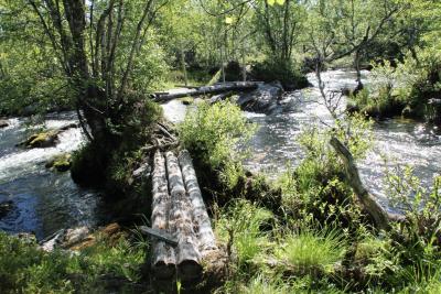 post-4016-0-37429600-1403805299_thumb.jp