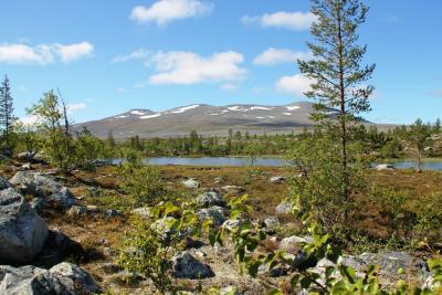 post-4016-0-75593600-1403805309_thumb.jp