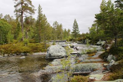 post-4016-0-88578100-1403805340_thumb.jp