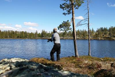 post-4016-0-99836400-1403805335_thumb.jp