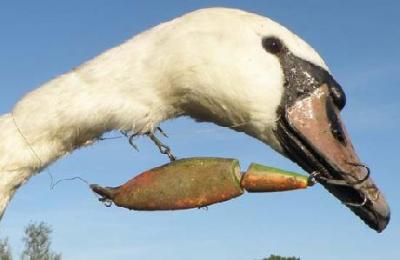 post-4220-0-06453500-1402834946_thumb.jp