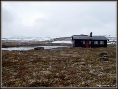 post-4444-0-69770600-1404054542_thumb.jp