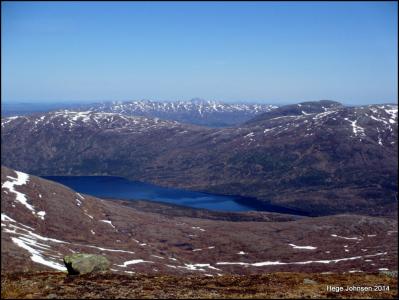 post-4444-0-73307400-1401728221_thumb.jp