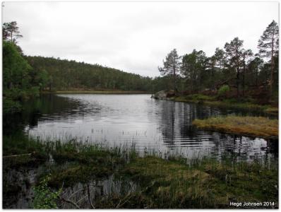 post-4444-0-81883100-1401728251_thumb.jp