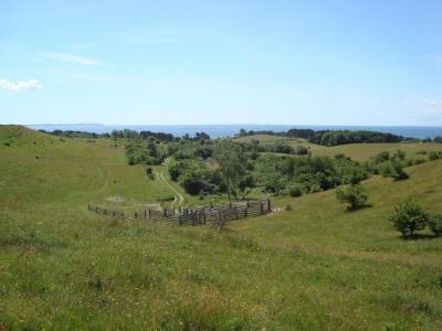 post-5095-0-16271900-1402959044_thumb.jp