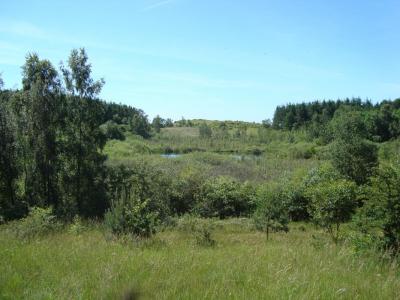 post-5095-0-82348100-1402959041_thumb.jp