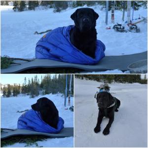 post-5141-0-73497200-1402734215_thumb.jp