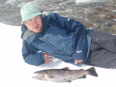 post-6295-0-29526300-1403803890_thumb.jp