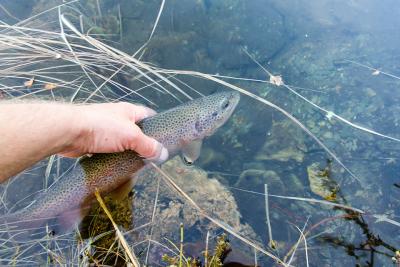 post-7687-0-27884700-1402174860_thumb.jp