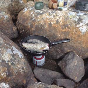 post-7687-0-37966100-1403624053_thumb.jp