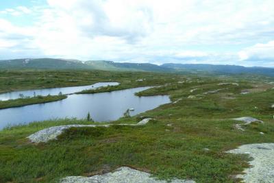 post-7901-0-15996400-1404126659_thumb.jp