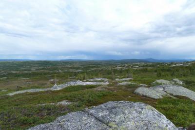 post-7901-0-57898900-1404126634_thumb.jp