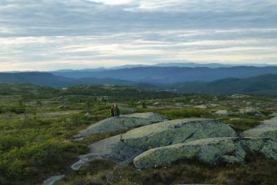 post-7901-0-68903600-1404126304_thumb.jp