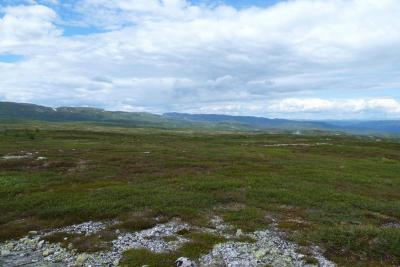 post-7901-0-71895300-1404126644_thumb.jp