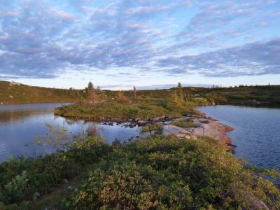 post-7901-0-77290000-1404126592_thumb.jp