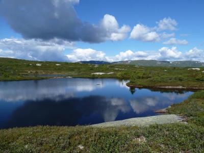 post-7901-0-94587800-1404126601_thumb.jp