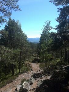 post-9055-0-09125700-1402779187_thumb.jp