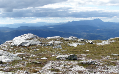 post-9055-0-35211300-1402497389_thumb.pn