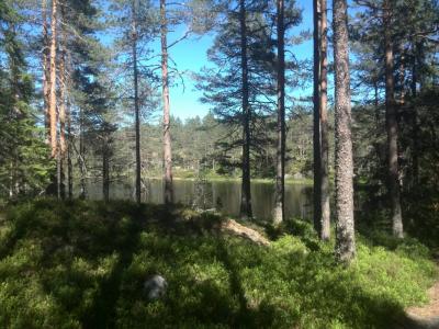 post-9055-0-46087700-1402779204_thumb.jp