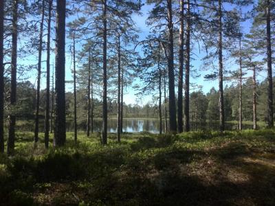 post-9055-0-51174800-1402779190_thumb.jp