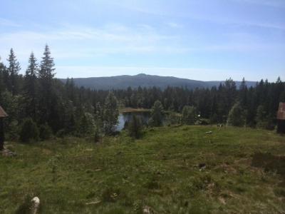 post-9055-0-57759400-1402779193_thumb.jp