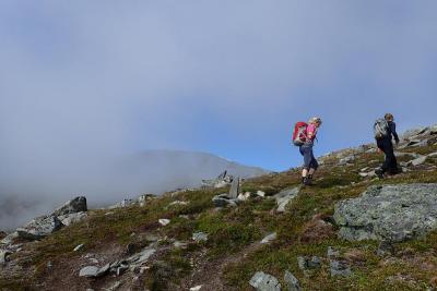 post-10375-0-74438200-1435079832_thumb.j