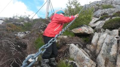 post-10401-0-10287400-1434295362_thumb.j