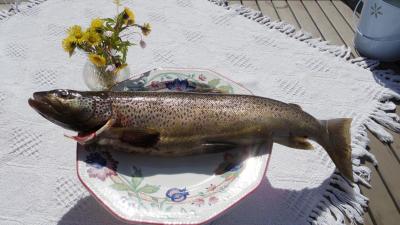 post-10401-0-42719000-1434923790_thumb.j