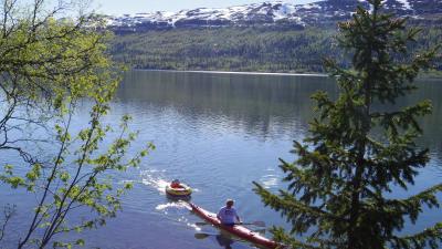 post-10401-0-54155400-1434923665_thumb.j