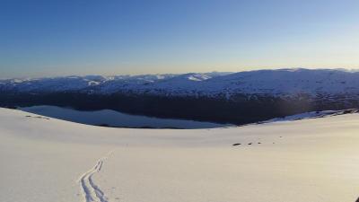 post-10401-0-67646300-1434923546_thumb.j