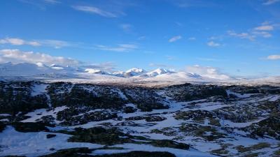 post-11420-0-37029900-1433274816_thumb.j