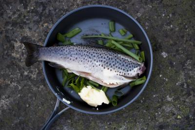 post-12278-0-02077200-1434015443_thumb.j