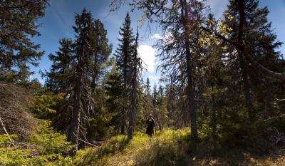 post-12278-0-60490700-1434010438_thumb.j