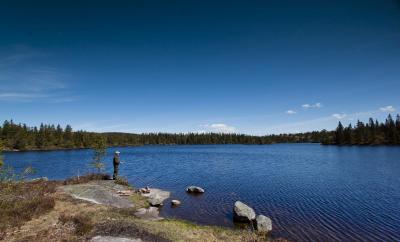 post-12278-0-69143200-1434021287_thumb.j