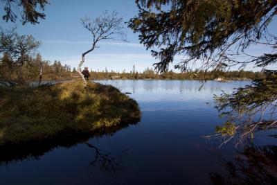 post-12278-0-88612300-1434019804_thumb.j