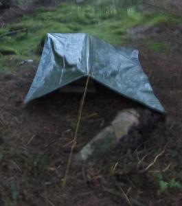 post-12461-0-36164500-1434051429_thumb.j