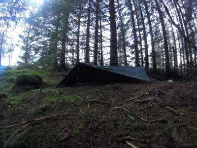 post-12461-0-85842700-1434050948_thumb.j