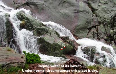 post-12580-0-26388700-1434191102_thumb.j