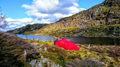 post-12824-0-81206400-1433934211_thumb.j