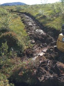 post-13014-0-39295500-1435476194_thumb.j