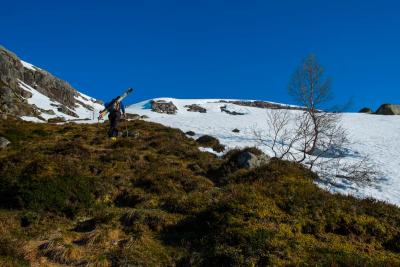 post-13206-0-23950200-1434096251_thumb.j