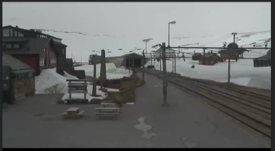 post-13206-0-76498700-1434632648_thumb.p