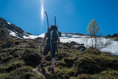 post-13206-0-82322600-1434910114_thumb.j