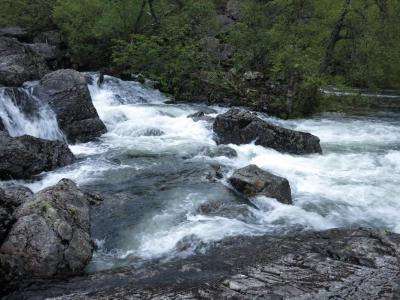 post-13206-0-96841000-1434635674_thumb.j