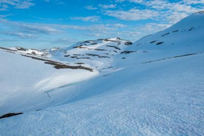 post-13206-0-97201000-1434370390_thumb.j