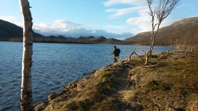 post-14074-0-00467300-1433831003_thumb.j