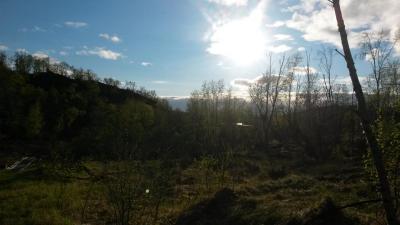 post-14074-0-18395700-1433486792_thumb.j