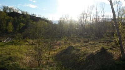 post-14074-0-25537000-1433486788_thumb.j