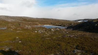 post-14074-0-57431600-1433830991_thumb.j