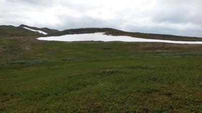 post-14074-0-64221800-1435591406_thumb.j